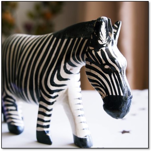 zebra_c.jpg